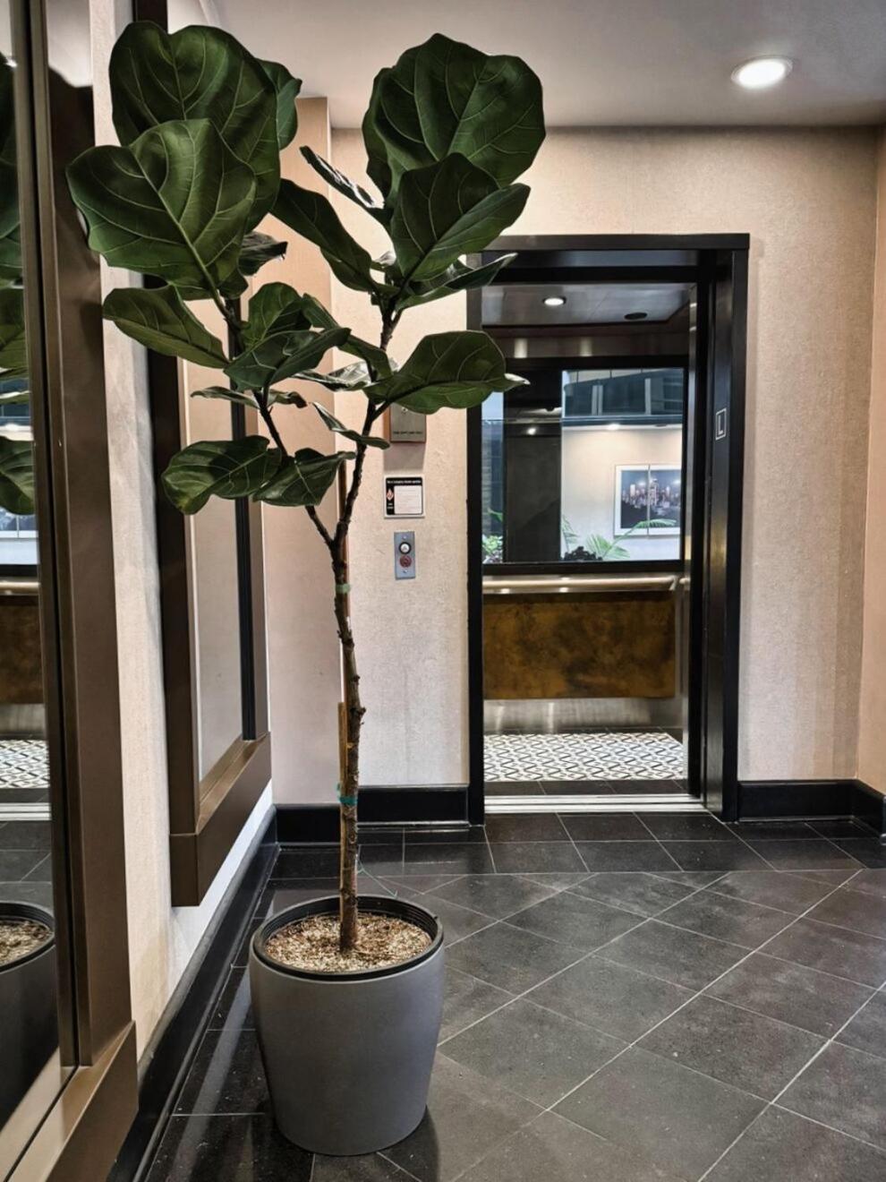 Hotel International Lynnwood Kültér fotó