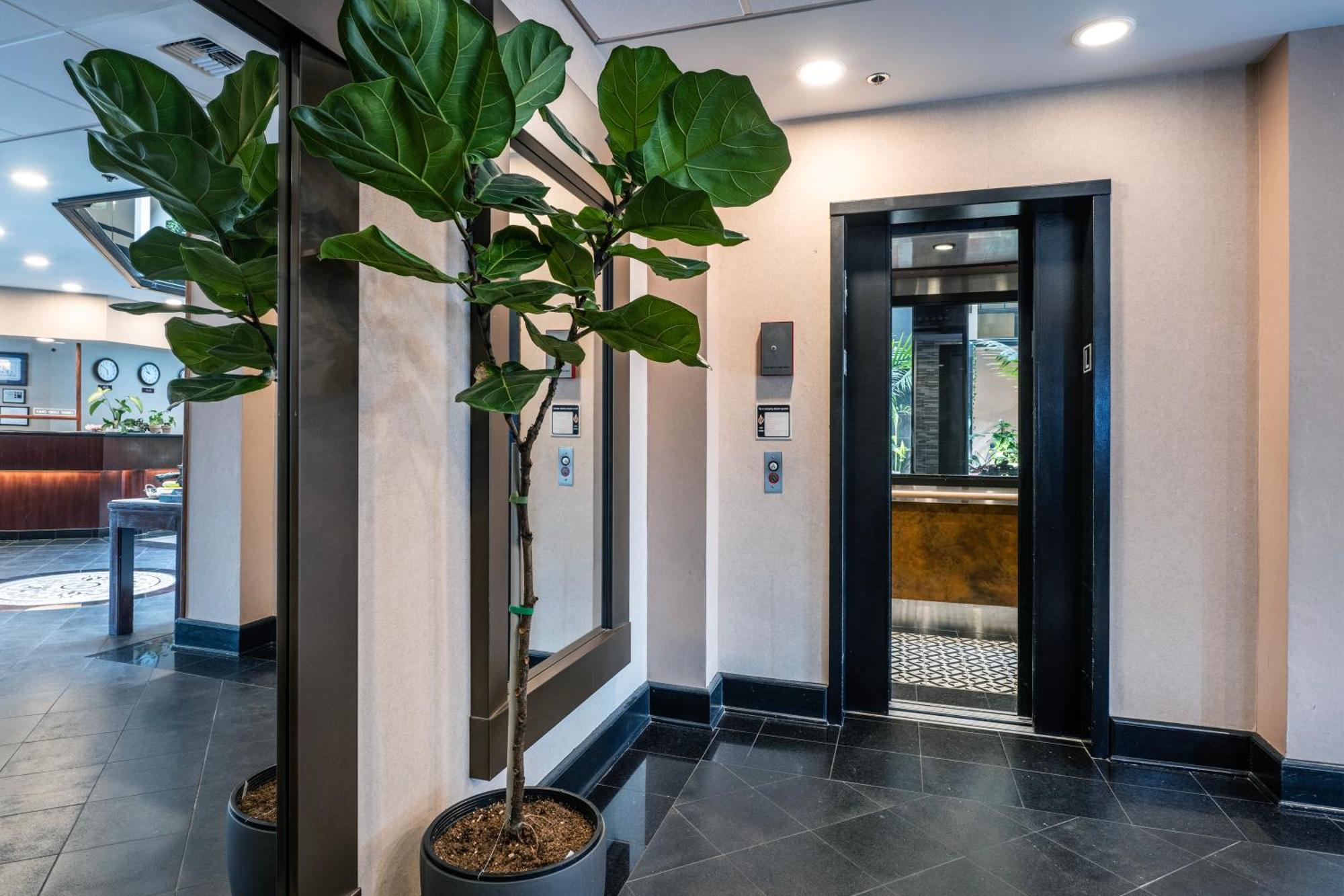 Hotel International Lynnwood Kültér fotó